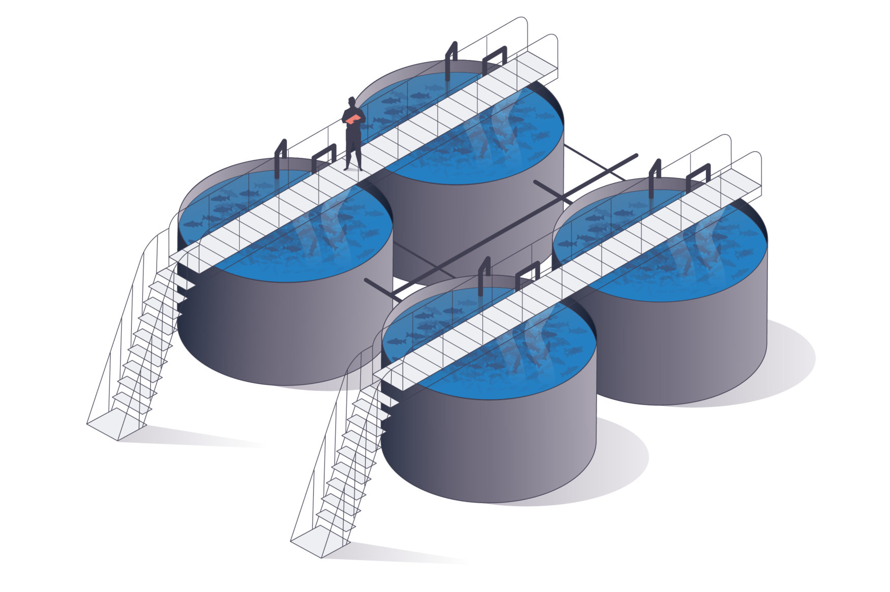 Aquacultuurtanks - Tanks voor de kleine vissen waar ze in zoet water blijven tot ze 100-300 gram wegen.